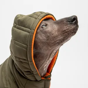 🌲 Noah Dog Jacket – Quilted Water-Resistant Winter Coat with Harness Access (Cypress Green)