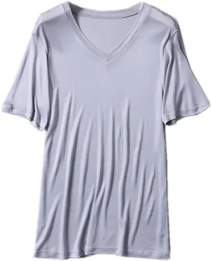Mens Short Sleeve Shirt V-Neck T-Shirt Mulberry Silk Tees Undershirts for Men Soft Comfortable Fit